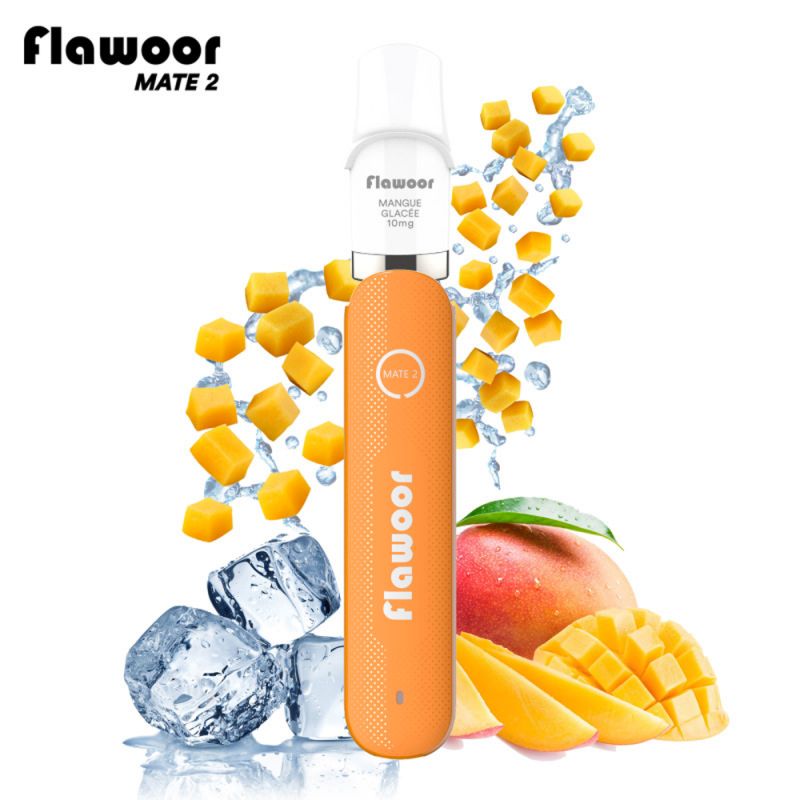 Pod Rechargeable : Kit Mangue Glacée 600 puffs 2ml - Flawoor Mate 2