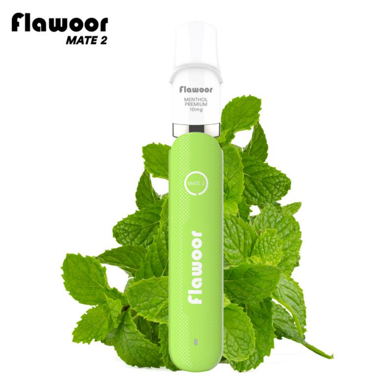 Pod Rechargeable: Kit Menthol Premium 600 puffs 2ml - Flawoor Mate 2