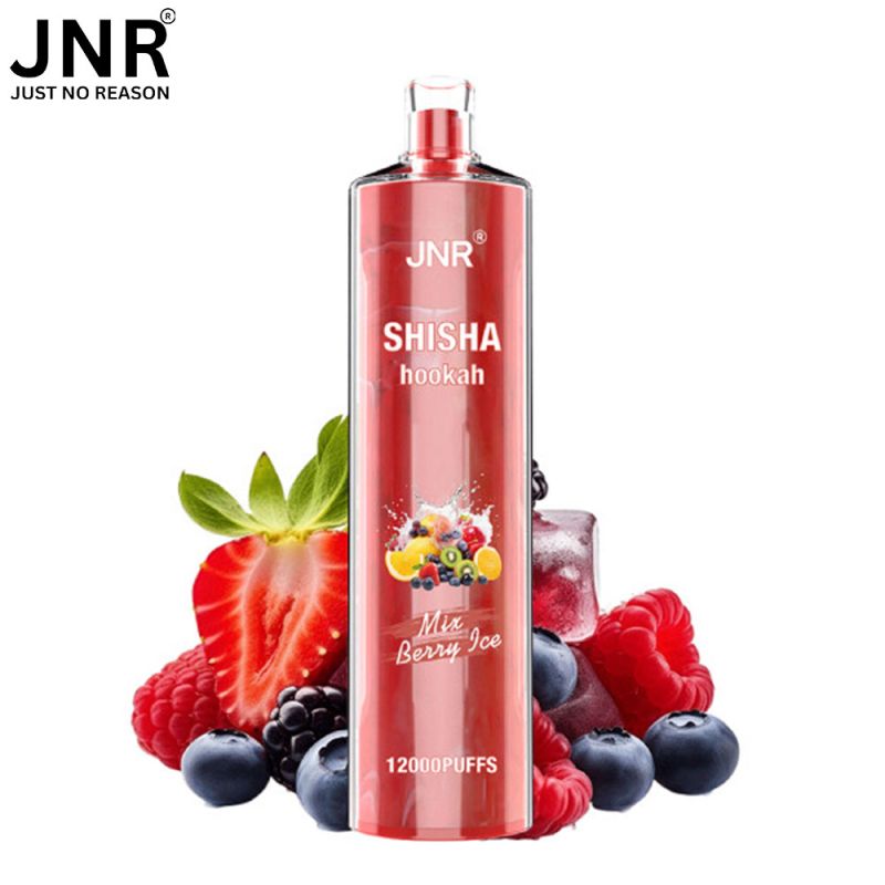 Puff Shisha Mix Berry Ice 12000 puffs - JNR