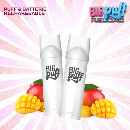 Cartouches Mangue de Malaisie 600 puffs (2pcs) - Big Puff Reload