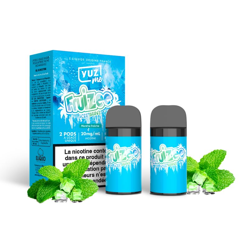 Pod jetable Ice Mint (2pcs) 600 puffs - Yuz Me