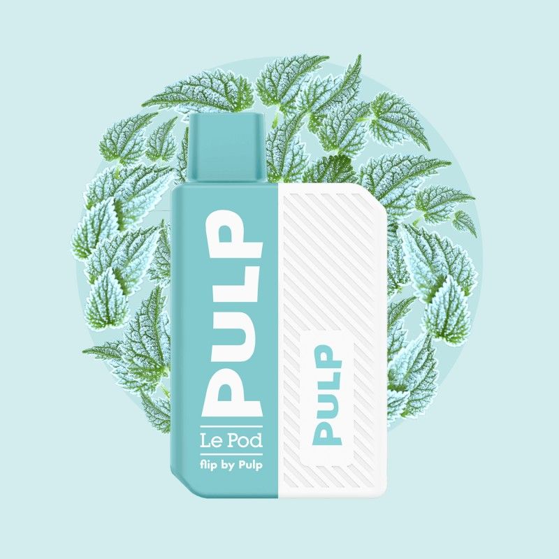 Starter Kit Menthe Polaire 2ml - Pod Flip by Pulp