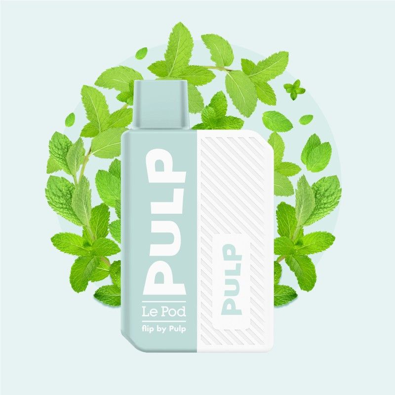 Starter Kit Menthe Verte 2ml - Pod Flip by Pulp